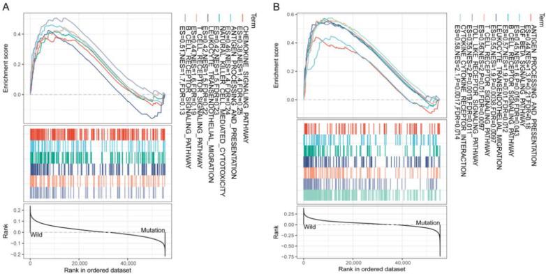 https://cdn.ncbi.nlm.nih.gov/pmc/blobs/88bf/8003499/1a6689223326/cancers-13-01397-g004.jpg
