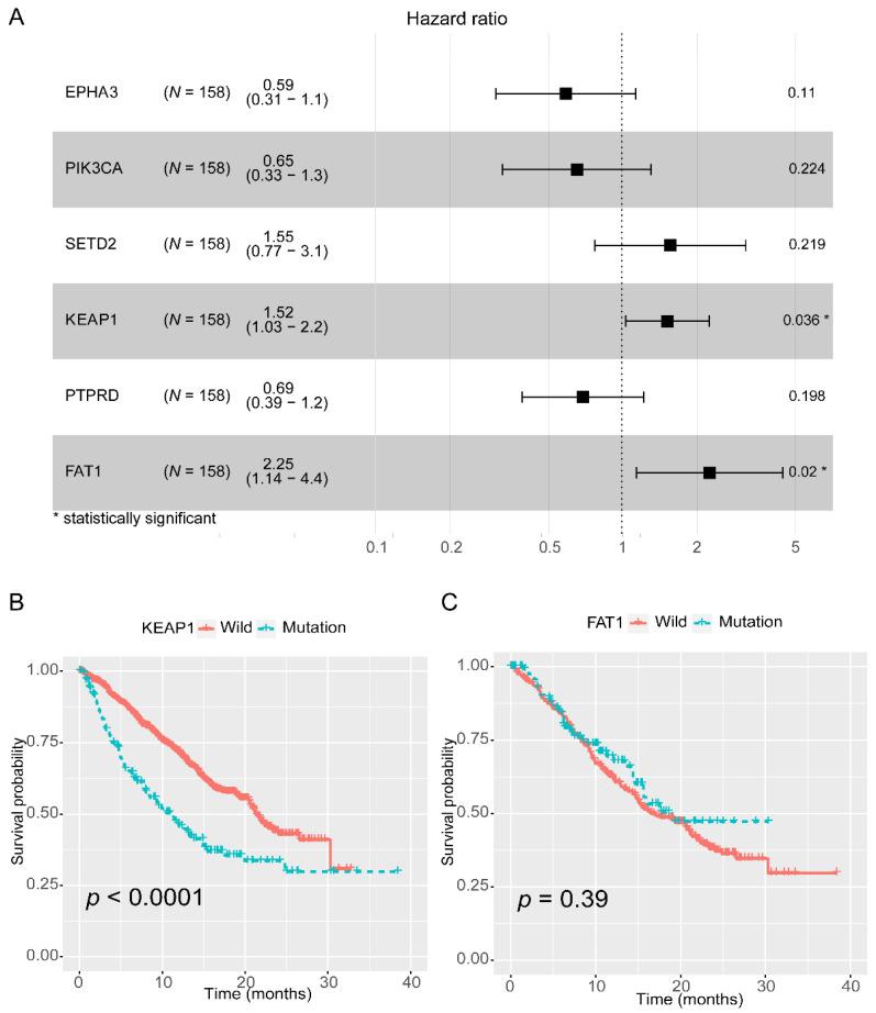 https://cdn.ncbi.nlm.nih.gov/pmc/blobs/88bf/8003499/1b5bd791d060/cancers-13-01397-g001.jpg