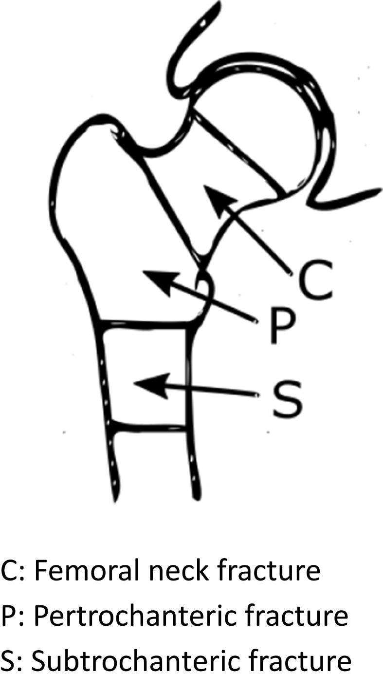 https://cdn.ncbi.nlm.nih.gov/pmc/blobs/88c0/6959215/761982846021/CLEP-12-9-g0001.jpg