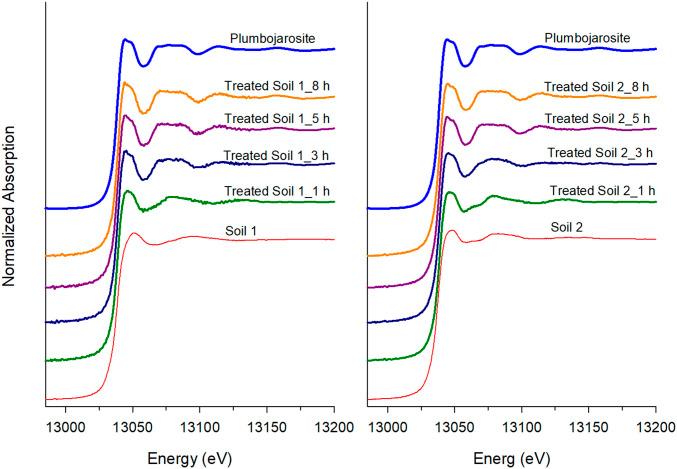 https://cdn.ncbi.nlm.nih.gov/pmc/blobs/88c0/7826369/5530b9706081/pnas.2020315117fig01.jpg