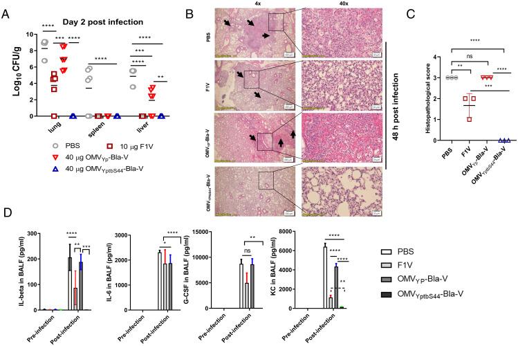 https://cdn.ncbi.nlm.nih.gov/pmc/blobs/88c1/8931243/d6abf094a71a/pnas.2109667119fig06.jpg