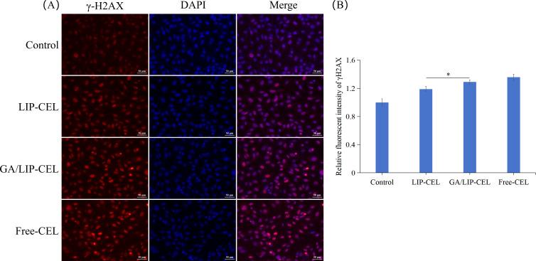 https://cdn.ncbi.nlm.nih.gov/pmc/blobs/88c2/12129919/c6829da3e498/fonc-15-1602585-g008.jpg