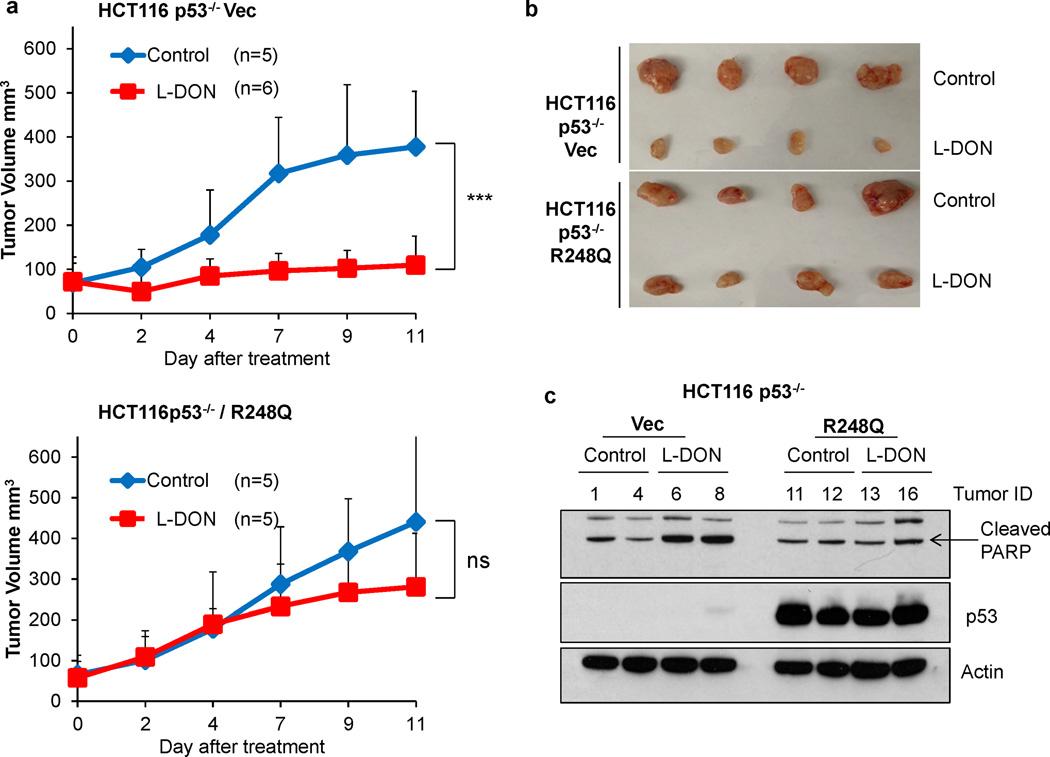 https://cdn.ncbi.nlm.nih.gov/pmc/blobs/88c3/5383530/bdc4ec464a47/nihms809994f7.jpg