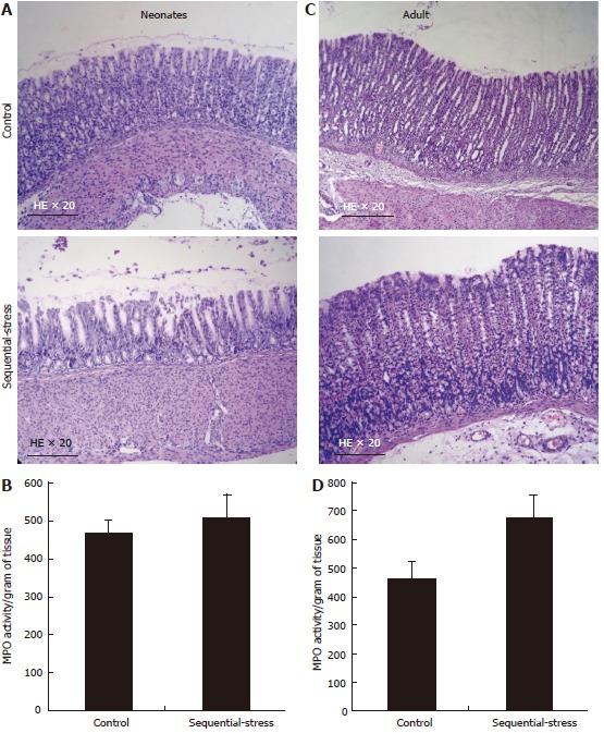 https://cdn.ncbi.nlm.nih.gov/pmc/blobs/88c3/5698252/5dc472dd4ac8/WJG-23-7594-g009.jpg
