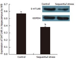 https://cdn.ncbi.nlm.nih.gov/pmc/blobs/88c3/5698252/f7da4f2e03ab/WJG-23-7594-g008.jpg