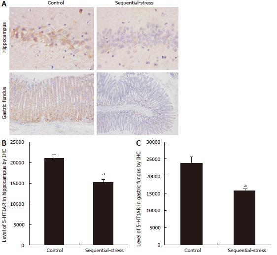 https://cdn.ncbi.nlm.nih.gov/pmc/blobs/88c3/5698252/ffc903c29456/WJG-23-7594-g007.jpg