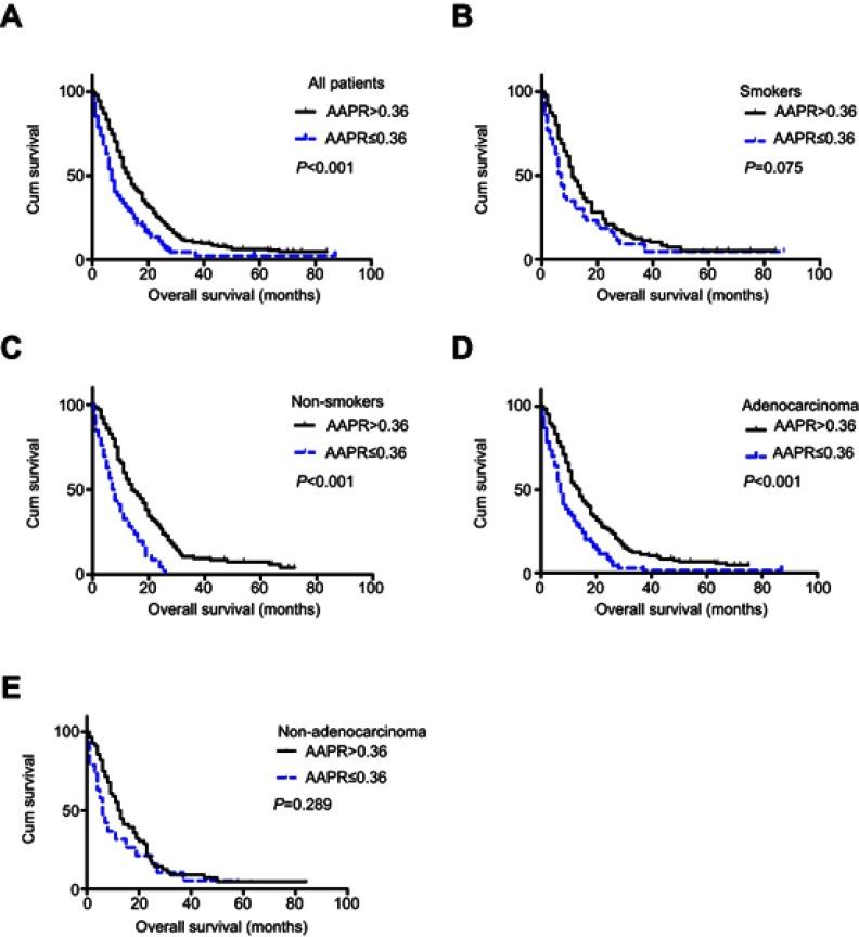 https://cdn.ncbi.nlm.nih.gov/pmc/blobs/88c3/6612287/7edfc1c26028/OTT-12-5241-g0002.jpg