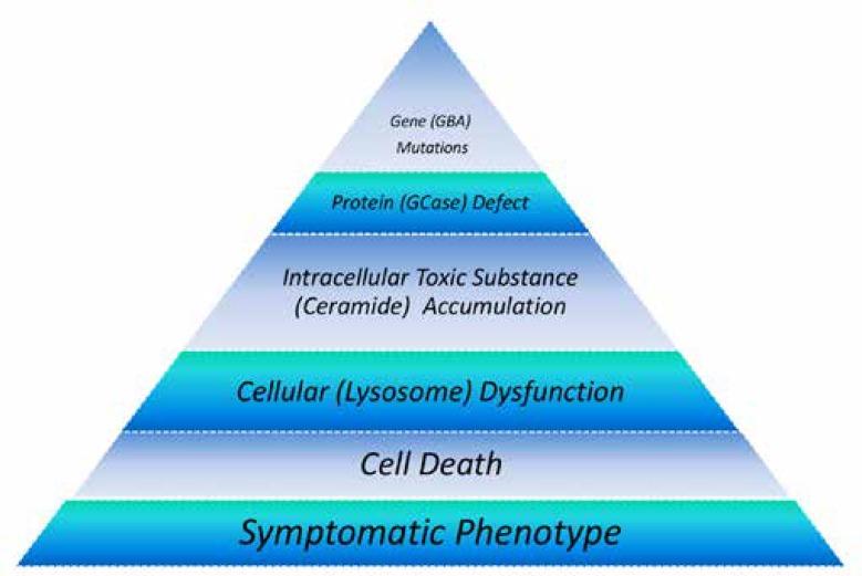 https://cdn.ncbi.nlm.nih.gov/pmc/blobs/88c6/6296697/93145b4f3afc/ijcn-13-007-g002.jpg