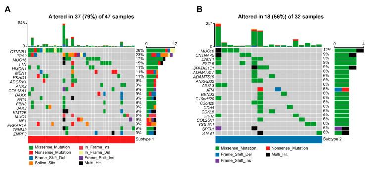 https://cdn.ncbi.nlm.nih.gov/pmc/blobs/88ca/10000893/665dd6e55b03/cells-12-00755-g008.jpg