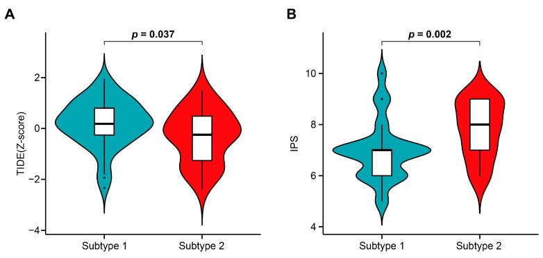https://cdn.ncbi.nlm.nih.gov/pmc/blobs/88ca/10000893/be4320cad6a1/cells-12-00755-g012.jpg
