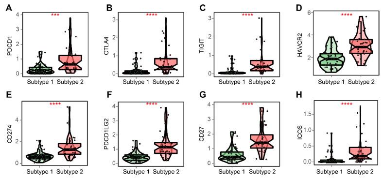 https://cdn.ncbi.nlm.nih.gov/pmc/blobs/88ca/10000893/d16fa95bca8a/cells-12-00755-g011.jpg