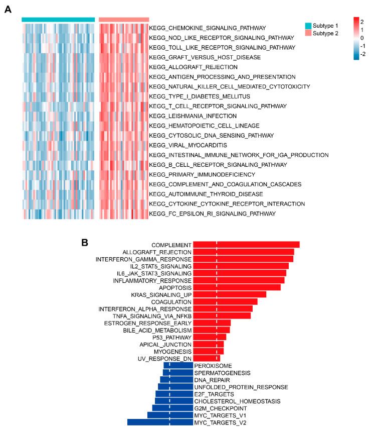 https://cdn.ncbi.nlm.nih.gov/pmc/blobs/88ca/10000893/ecf5ccefe598/cells-12-00755-g006.jpg