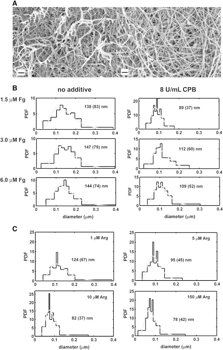 https://cdn.ncbi.nlm.nih.gov/pmc/blobs/88cb/3891004/4eef5340086f/gr1.jpg