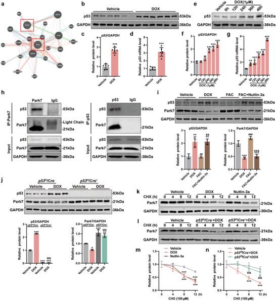 https://cdn.ncbi.nlm.nih.gov/pmc/blobs/88cc/10214246/c8fcc9bf5a2d/ADVS-10-2206007-g008.jpg