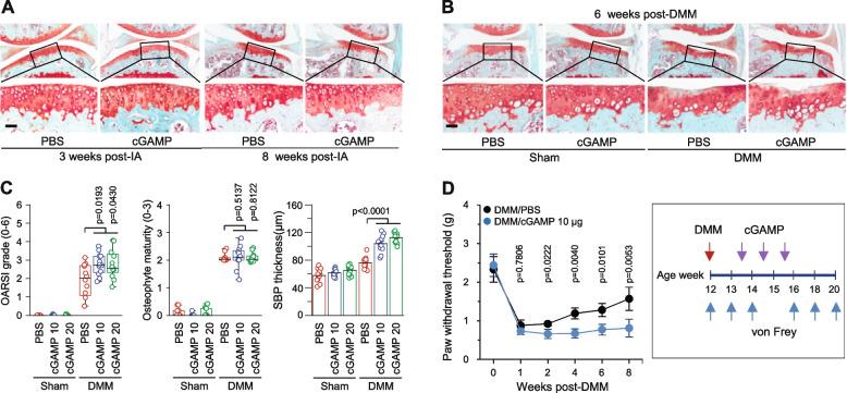 https://cdn.ncbi.nlm.nih.gov/pmc/blobs/88cc/10230703/1bd99a4ad1c6/13075_2023_3075_Fig5_HTML.jpg