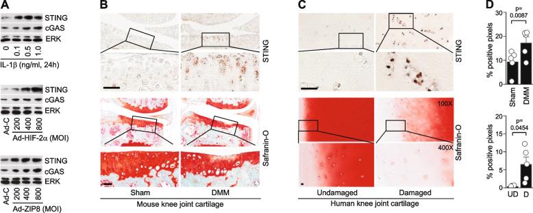 https://cdn.ncbi.nlm.nih.gov/pmc/blobs/88cc/10230703/893a9ac9a4e6/13075_2023_3075_Fig2_HTML.jpg