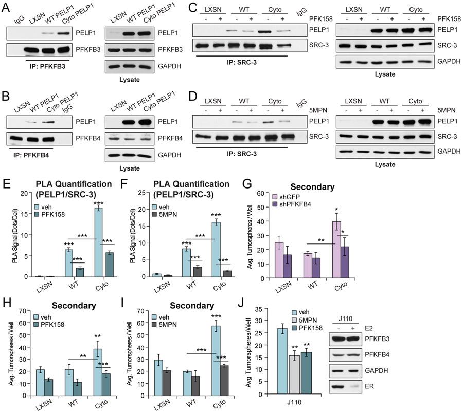 https://cdn.ncbi.nlm.nih.gov/pmc/blobs/88cc/8238912/1461f48c8341/nihms-1709041-f0003.jpg