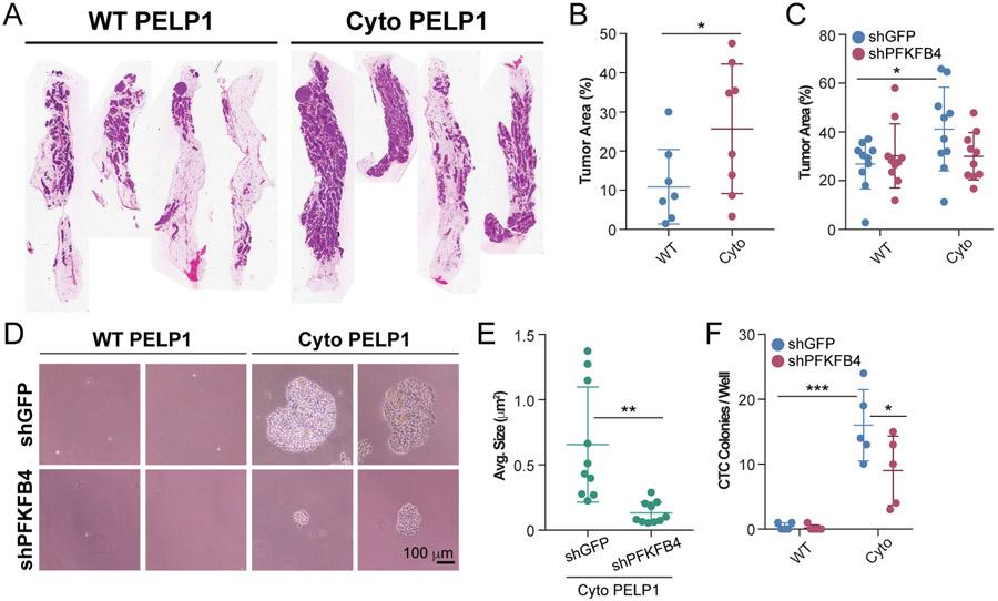 https://cdn.ncbi.nlm.nih.gov/pmc/blobs/88cc/8238912/bdf23830b911/nihms-1709041-f0004.jpg