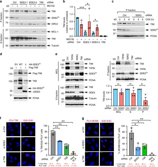 https://cdn.ncbi.nlm.nih.gov/pmc/blobs/88cf/7603486/678915a1d4c6/41467_2020_19162_Fig3_HTML.jpg