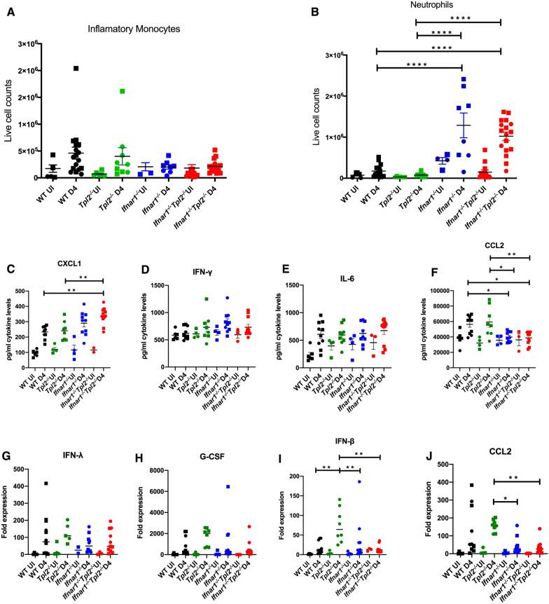 https://cdn.ncbi.nlm.nih.gov/pmc/blobs/88cf/9558022/b104d5f4c2d5/10753_2022_1736_Fig4_HTML.jpg