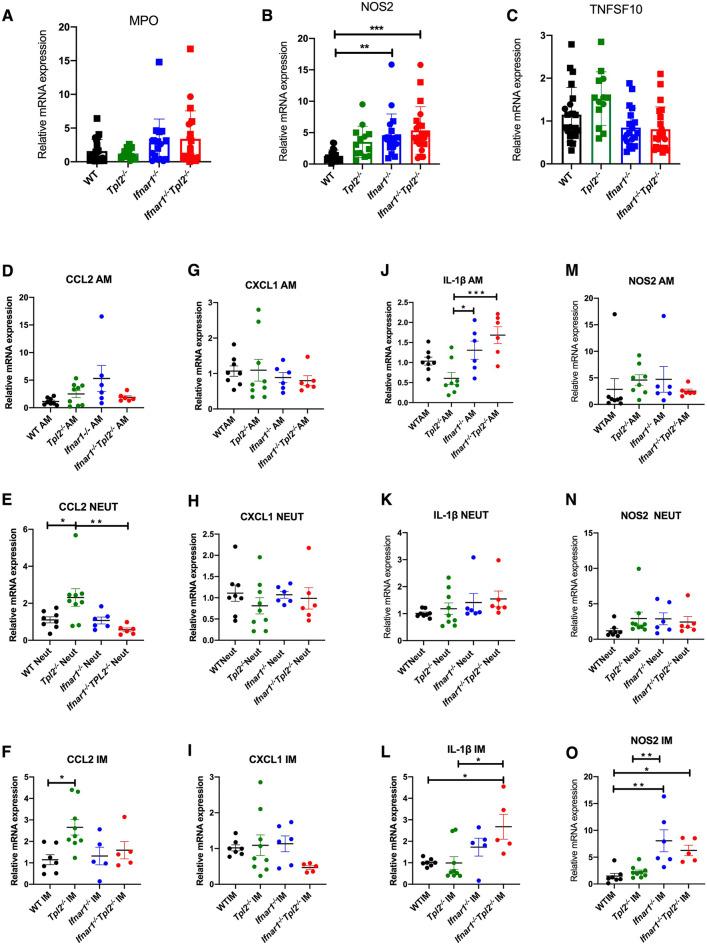 https://cdn.ncbi.nlm.nih.gov/pmc/blobs/88cf/9558022/b72f344f4744/10753_2022_1736_Fig6_HTML.jpg