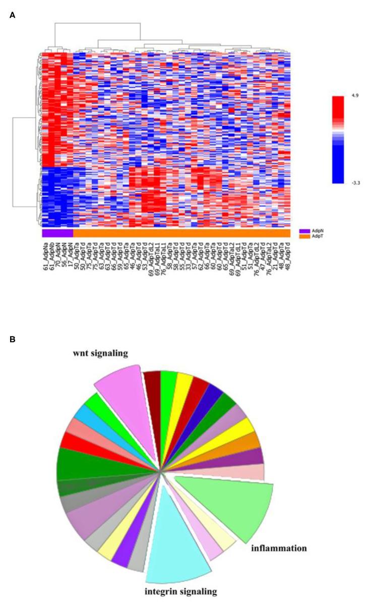 https://cdn.ncbi.nlm.nih.gov/pmc/blobs/88d0/7472783/151c46139dc2/fonc-10-01506-g0006.jpg