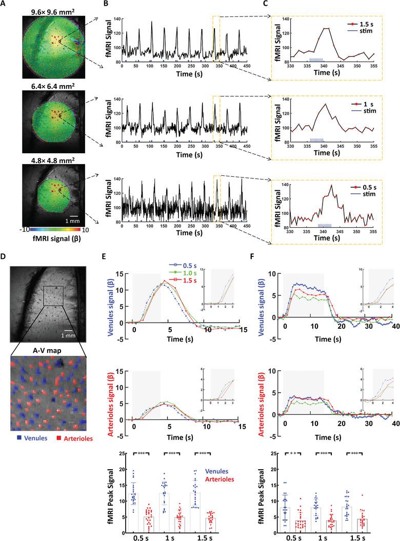https://cdn.ncbi.nlm.nih.gov/pmc/blobs/88d3/11234406/2804d6c8034e/ADVS-11-2309218-g004.jpg