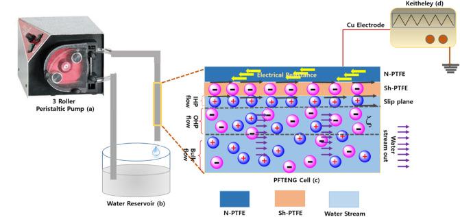 https://cdn.ncbi.nlm.nih.gov/pmc/blobs/88d5/8904805/b6317fcc24c2/41598_2022_7614_Fig6_HTML.jpg