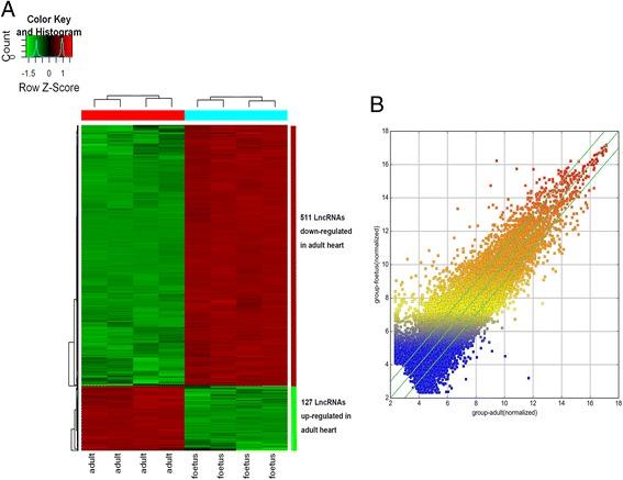 https://cdn.ncbi.nlm.nih.gov/pmc/blobs/88d6/5116129/3004c2a60594/12861_2016_139_Fig2_HTML.jpg