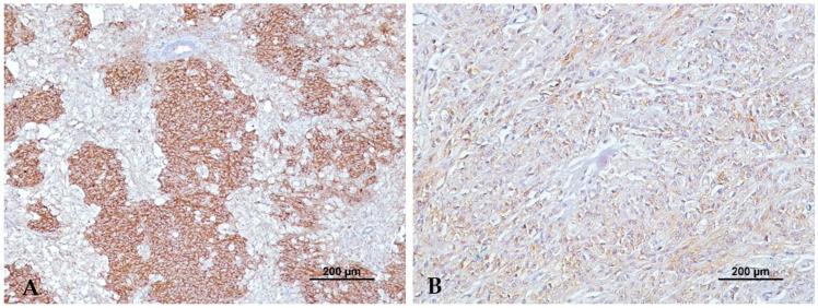 https://cdn.ncbi.nlm.nih.gov/pmc/blobs/88d7/10339947/de1adaf42f43/animals-13-02216-g002.jpg