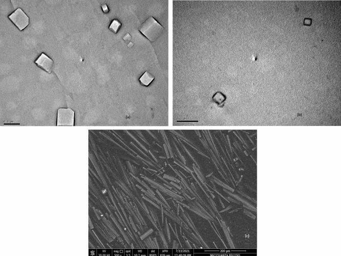 https://cdn.ncbi.nlm.nih.gov/pmc/blobs/88d7/10810935/5859203ac7cc/13346_2023_1423_Fig5_HTML.jpg