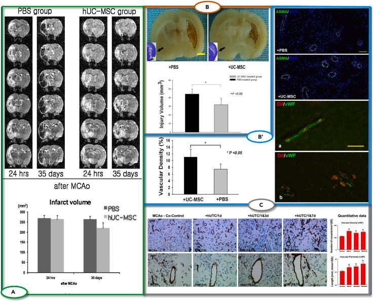 https://cdn.ncbi.nlm.nih.gov/pmc/blobs/88d9/11326931/a343705239fc/gr4.jpg