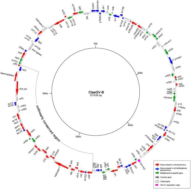 https://cdn.ncbi.nlm.nih.gov/pmc/blobs/88d9/4500397/f6e5ae588716/pone.0132792.g001.jpg