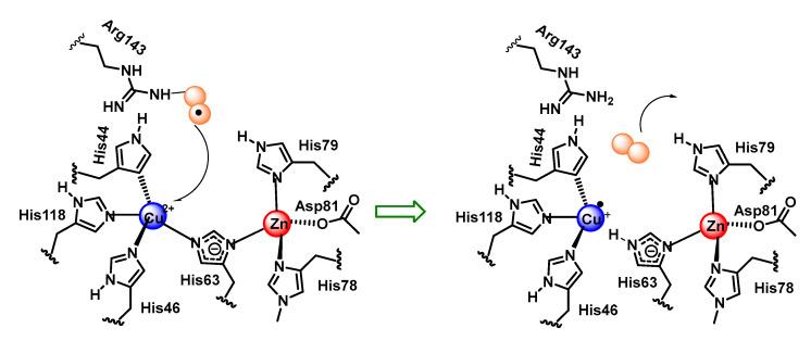 https://cdn.ncbi.nlm.nih.gov/pmc/blobs/88da/9916283/143014a8d663/ijms-24-01841-g034.jpg