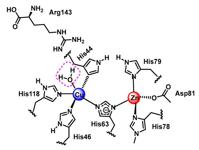 https://cdn.ncbi.nlm.nih.gov/pmc/blobs/88da/9916283/9a01c1e2af47/ijms-24-01841-g033.jpg