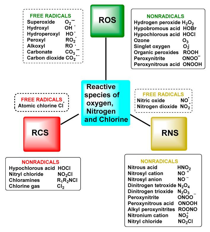 https://cdn.ncbi.nlm.nih.gov/pmc/blobs/88da/9916283/c941d51f900c/ijms-24-01841-g001.jpg