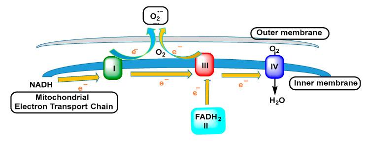 https://cdn.ncbi.nlm.nih.gov/pmc/blobs/88da/9916283/c9fe1007680f/ijms-24-01841-g009.jpg