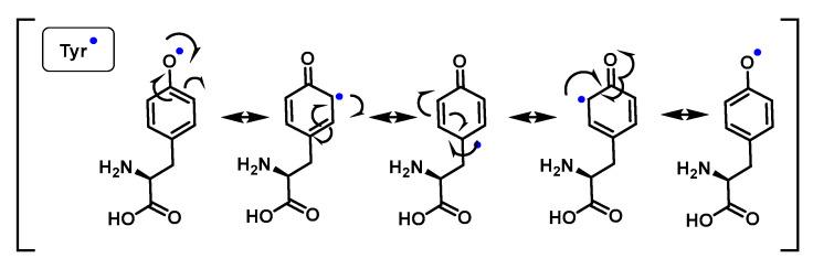 https://cdn.ncbi.nlm.nih.gov/pmc/blobs/88da/9916283/e65f6508e457/ijms-24-01841-g052.jpg