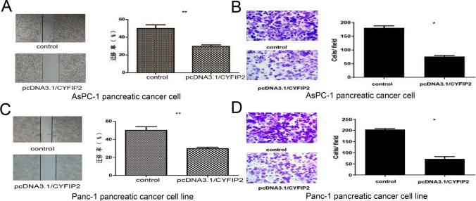 https://cdn.ncbi.nlm.nih.gov/pmc/blobs/88de/11685368/42e2260c002b/12672_2024_1650_Fig12_HTML.jpg