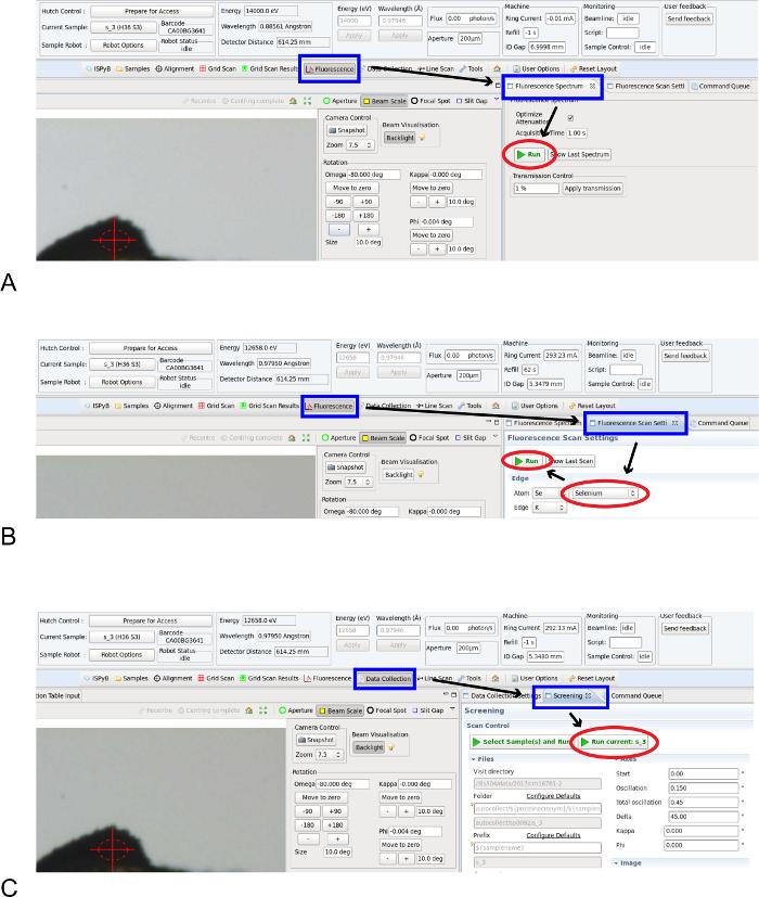 https://cdn.ncbi.nlm.nih.gov/pmc/blobs/88de/5752355/8b89a48b4729/jove-128-56294-1.jpg