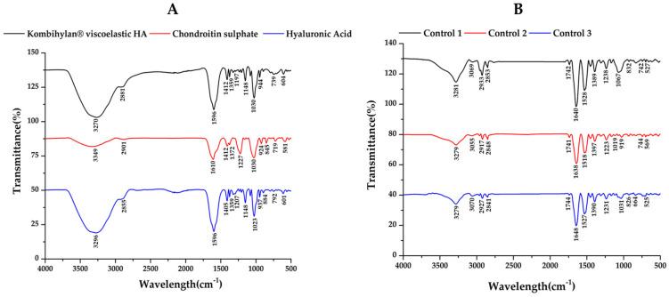 https://cdn.ncbi.nlm.nih.gov/pmc/blobs/88df/10886650/6048257b9417/biomedicines-12-00449-g005.jpg