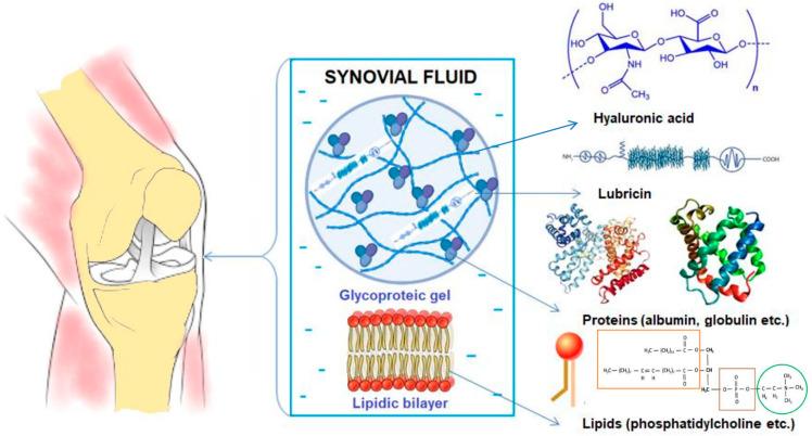 https://cdn.ncbi.nlm.nih.gov/pmc/blobs/88df/10886650/d4173feb9e5e/biomedicines-12-00449-g001.jpg