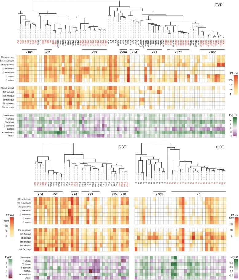 https://cdn.ncbi.nlm.nih.gov/pmc/blobs/88df/5535293/7f1c0335f02e/12915_2017_402_Fig2_HTML.jpg
