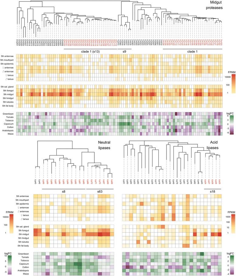 https://cdn.ncbi.nlm.nih.gov/pmc/blobs/88df/5535293/b50d7735a2e6/12915_2017_402_Fig3_HTML.jpg