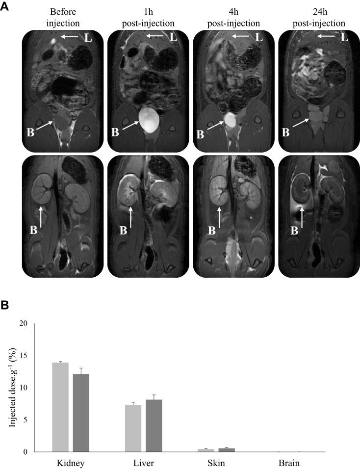 https://cdn.ncbi.nlm.nih.gov/pmc/blobs/88e0/7673487/4ee1c134768e/IJN-15-8739-g0006.jpg