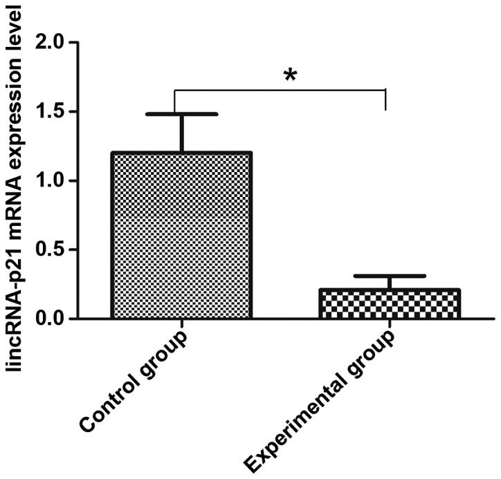 https://cdn.ncbi.nlm.nih.gov/pmc/blobs/88e1/6507440/01f71d9ee686/ol-17-06-5103-g00.jpg