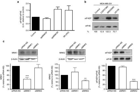 https://cdn.ncbi.nlm.nih.gov/pmc/blobs/88e2/5012548/1b744f97b622/mtna201550f7.jpg