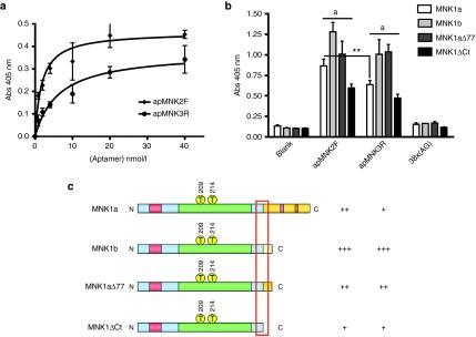 https://cdn.ncbi.nlm.nih.gov/pmc/blobs/88e2/5012548/3169bdd2cec1/mtna201550f3.jpg