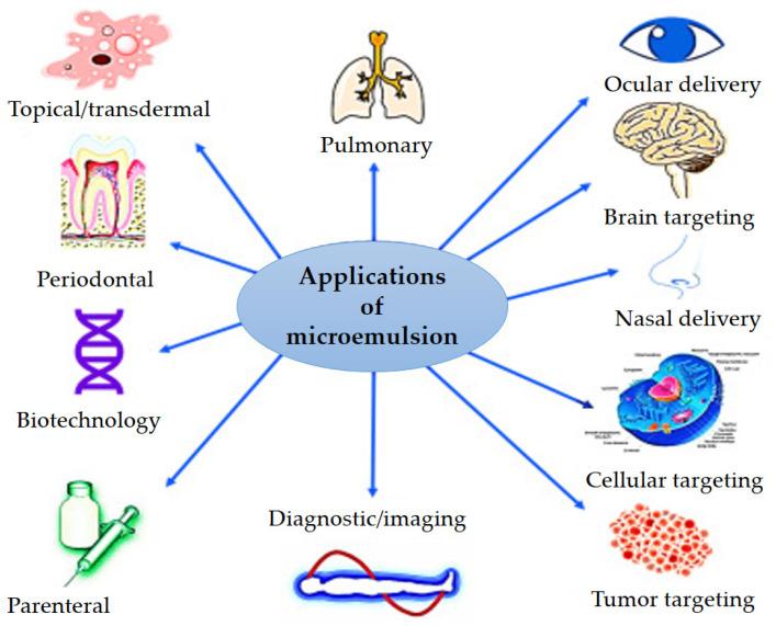 https://cdn.ncbi.nlm.nih.gov/pmc/blobs/88e3/10222322/d363ecb24e65/nanomaterials-13-01688-g005.jpg