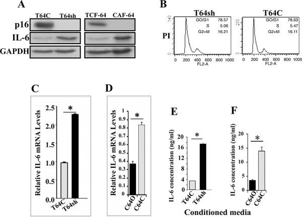 https://cdn.ncbi.nlm.nih.gov/pmc/blobs/88e3/4745778/481d80c29570/oncotarget-06-30006-g001.jpg